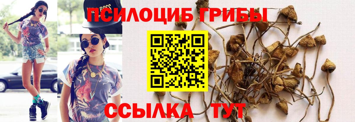 Галлюциногенные грибы MAGIC MUSHROOMS  Псилоцибиновые грибы GOLDEN TEACHER  Ивантеевка  Вход с VPN 