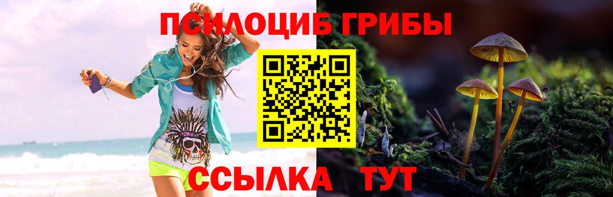 Ивантеевка  Вход с VPN  Марихуана  НБОМе  Мефедрон   ГАШ 